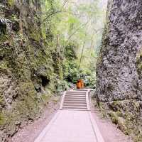 Chengdu Qingcheng Mountain Adventure 🗻