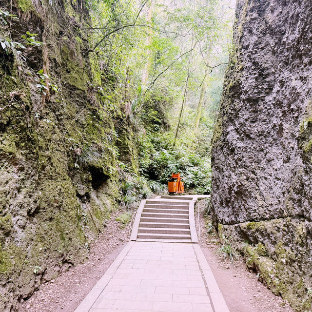 Chengdu Qingcheng Mountain Adventure 🗻 Chengdu Qingcheng Mountain Adventure 🗻