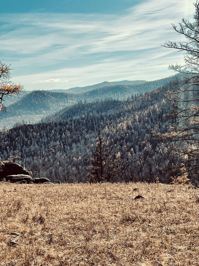 Autumn