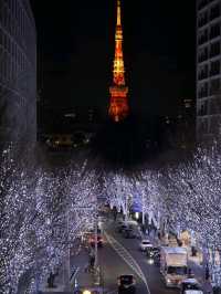 3 Days in Tokyo