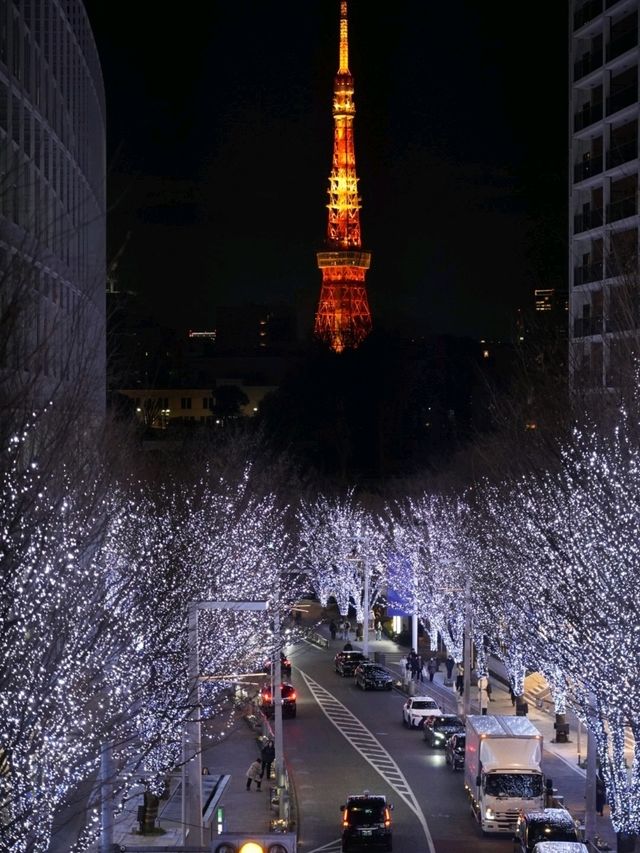3 Days in Tokyo