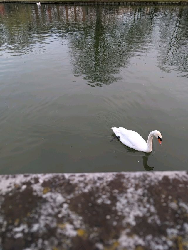 Morning visit at Bedford 