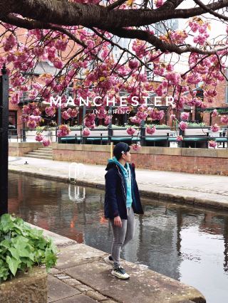 Spring in Manchester: A Blossom-Filled City Escape