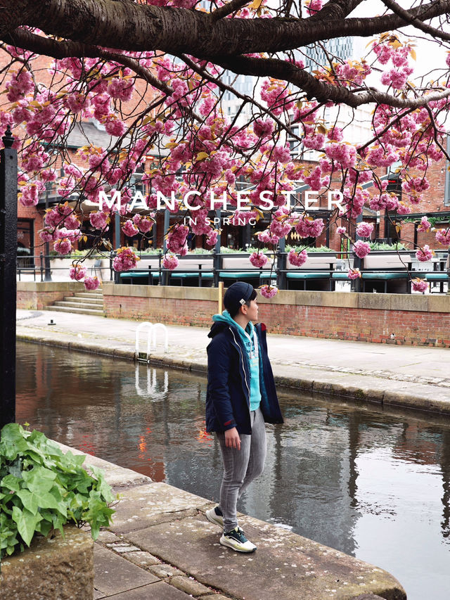 Spring in Manchester: A Blossom-Filled City Escape