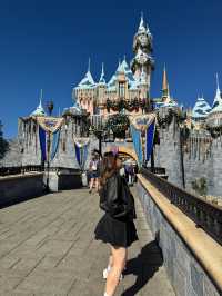 Disneyland Anaheim: The Magic You’ve Been Waiting For
