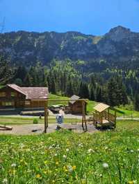 Hiking in Appenzell🇨🇭 A Hidden Alpine Gem!