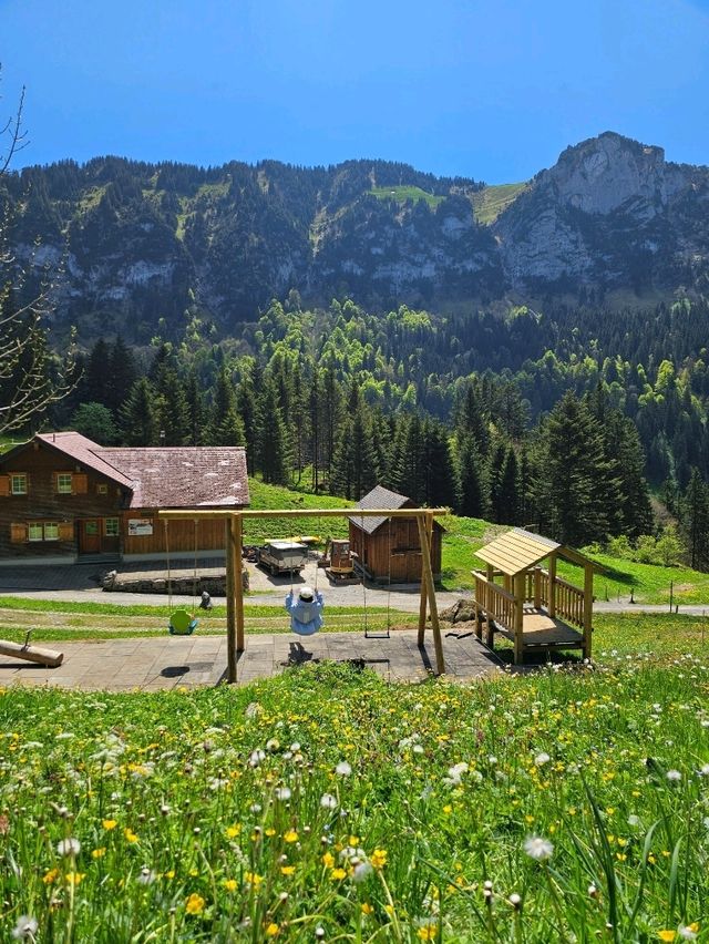 Hiking in Appenzell🇨🇭 A Hidden Alpine Gem!