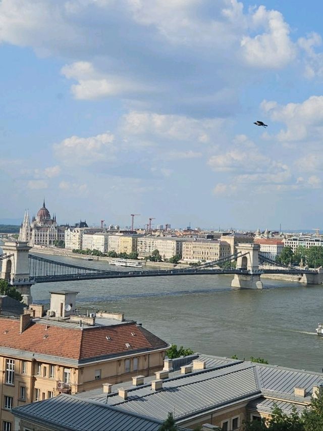 Wandering Through Royal Walls – My Magical Day at Buda Castle