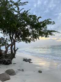 Here no bike 🏍️! All true about 3 days in Gili Trawangan Travel Guide 