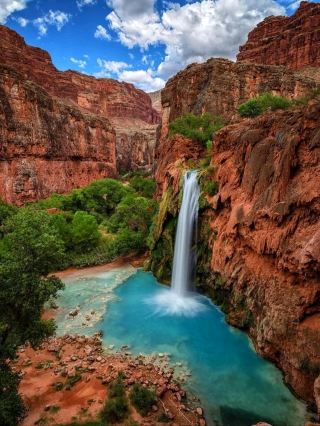🏞Havasu falls - a hidden dessert paradise