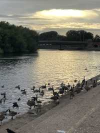 Nottingham🇬🇧History, Nature, and Culinary Delights
