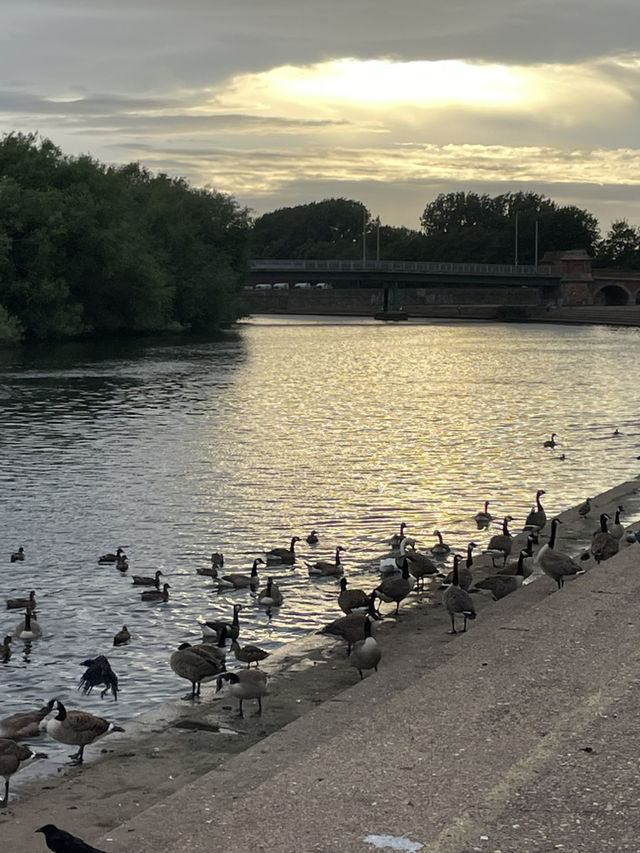 Nottingham🇬🇧History, Nature, and Culinary Delights