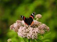 Tranquility and serenity in Freshfield 