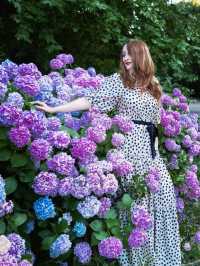 🌿 Bucharest Botanical Garden – A Green Oasis in the City