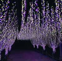 Tokyo to Nagoya: Christmas Lights & Winter Magic Day Trip
