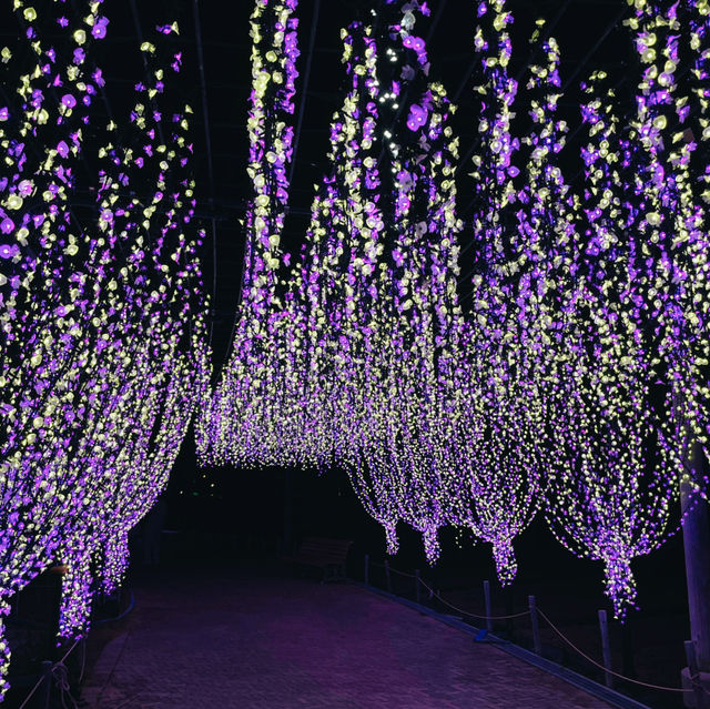 Tokyo to Nagoya: Christmas Lights & Winter Magic Day Trip