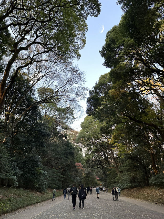 This Japan itinerary hits Tokyo’s coolest neighborhoods