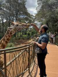 Wildlife in Nairobi🦒