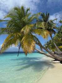 Vilamendhoo Island Resort — Where the Reef Speaks Louder Than Words