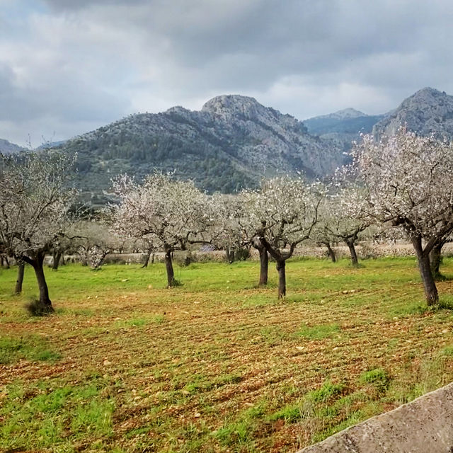 Tren de Soller, Мальорка