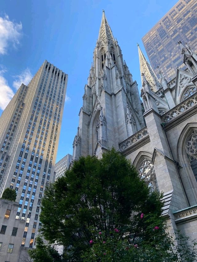 Urban Vibes NYC 🌆