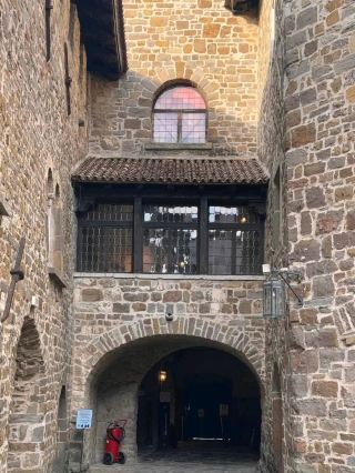 Fall Culture Glow🍂