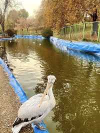 🌿 Park-e Mellat Tehran – A Calm Urban Escape 🍁✨