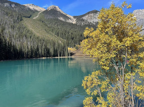 🍁 Yoho National Park – Autumn Forest Trails 🌲🍂