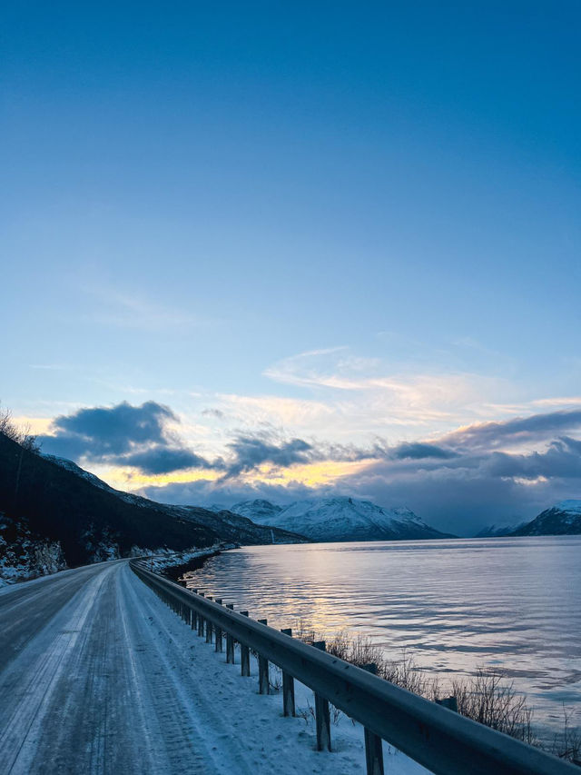 ✨ Northern Lights Hunt: Chasing Magic in the Arctic ✨ ✨ Northern Lights Hunt: Chasing Magic in the Arctic ✨