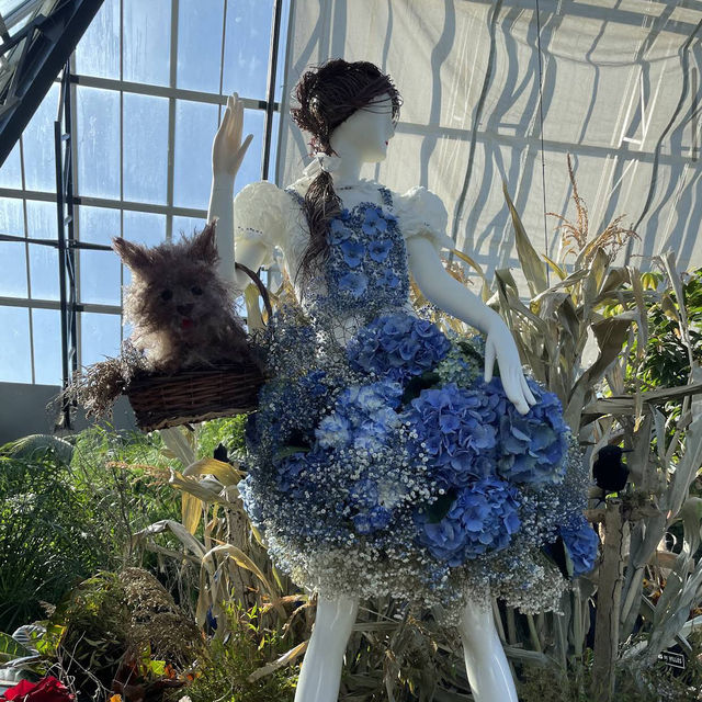 Muttart Conservatory Muttart Conservatory