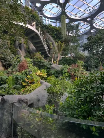 Shanghai Park Day🌿