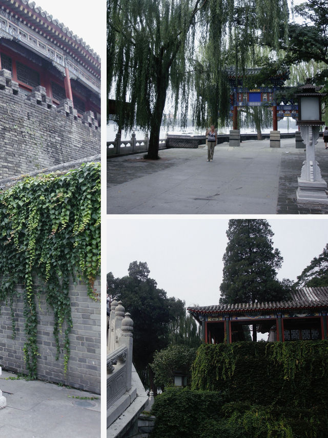 Forbidden Beauty🌸