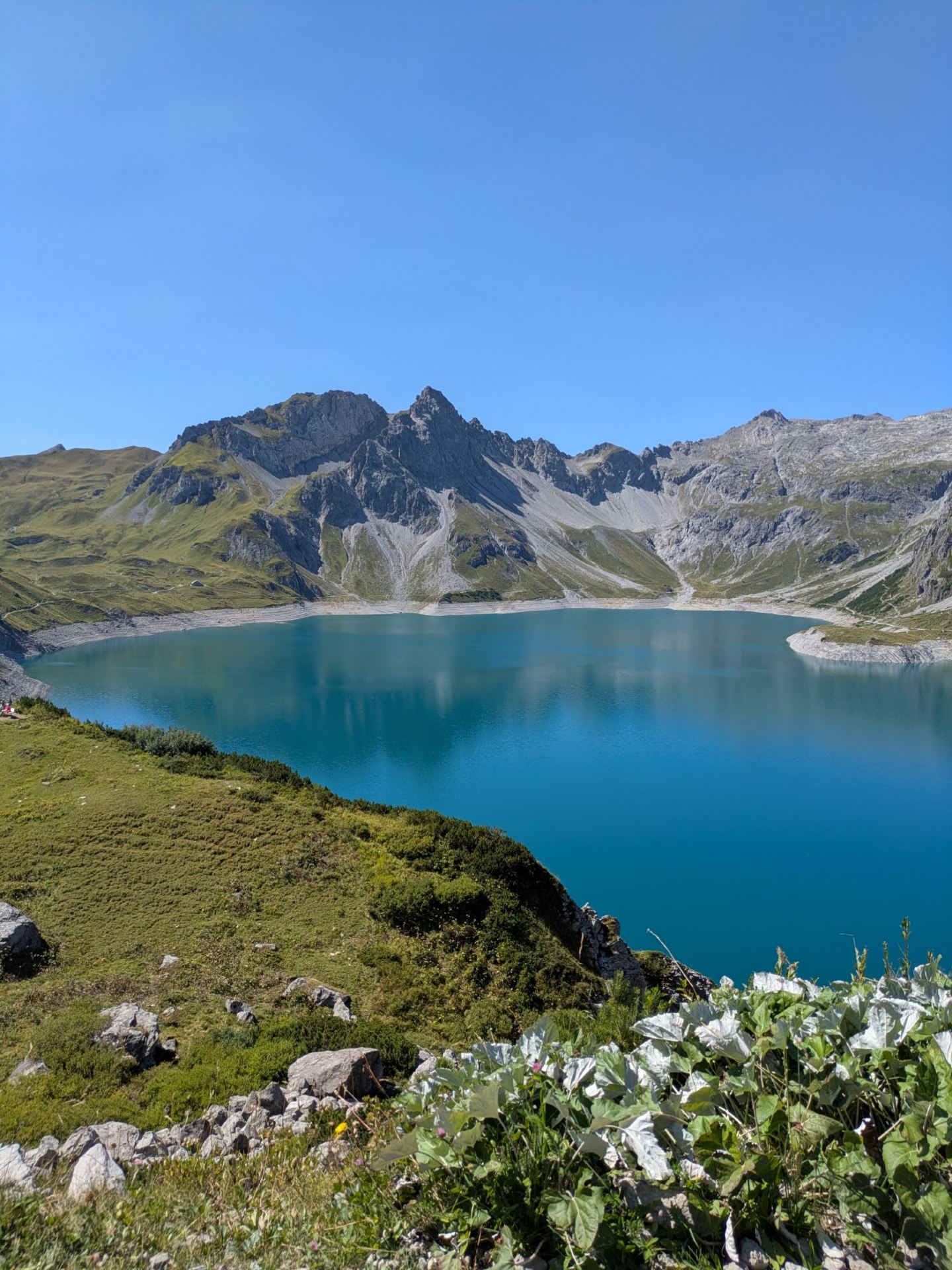 Endless Peaks & Berry Picking: Summer Magic in Western Austria 🏔️🫐