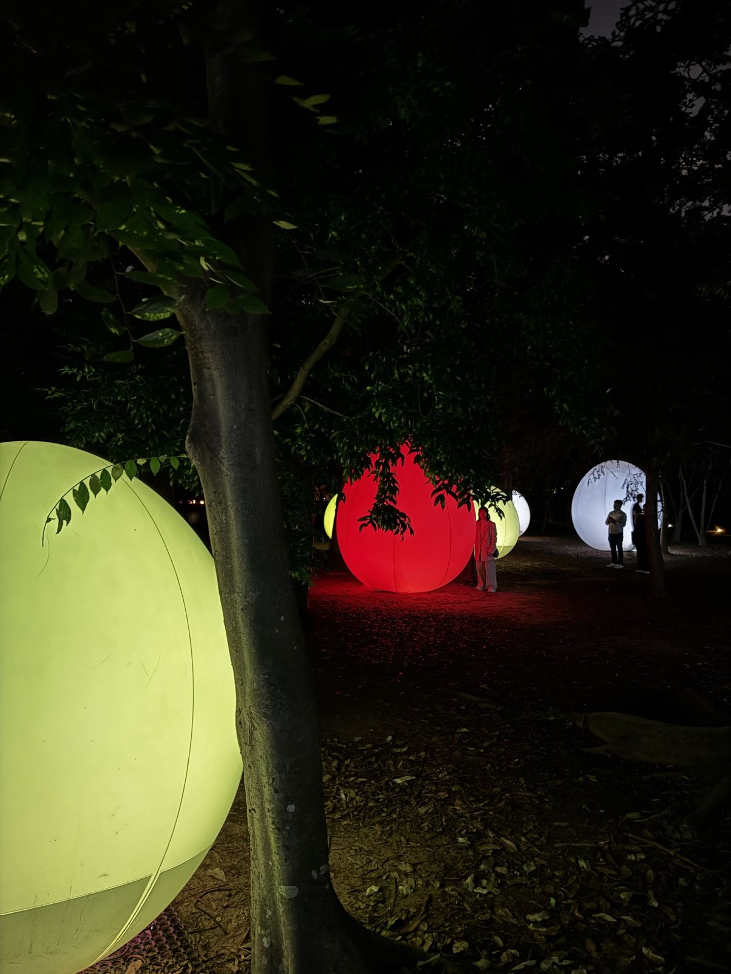 An Enchanting Evening at teamLab Botanical Garden Osaka