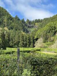 Beautiful hot spring town Furnas