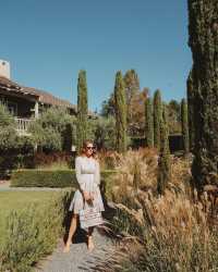 Embracing Autumn Anew: Crafting a Seasonal Instagram Symphony