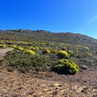 Magnificent Cape Town