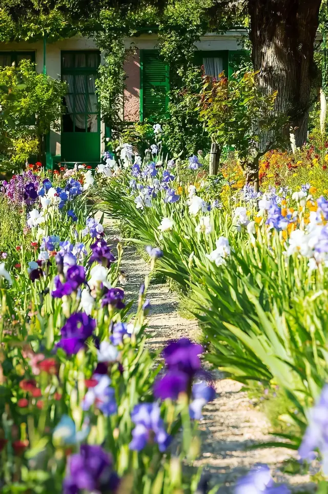 法國|巴黎莫內花園 莫內花園Monet gardens