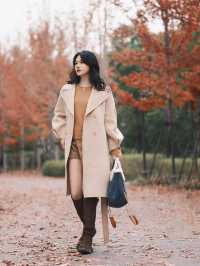 魔都小眾楓葉拍照地|人少 大片紅葉