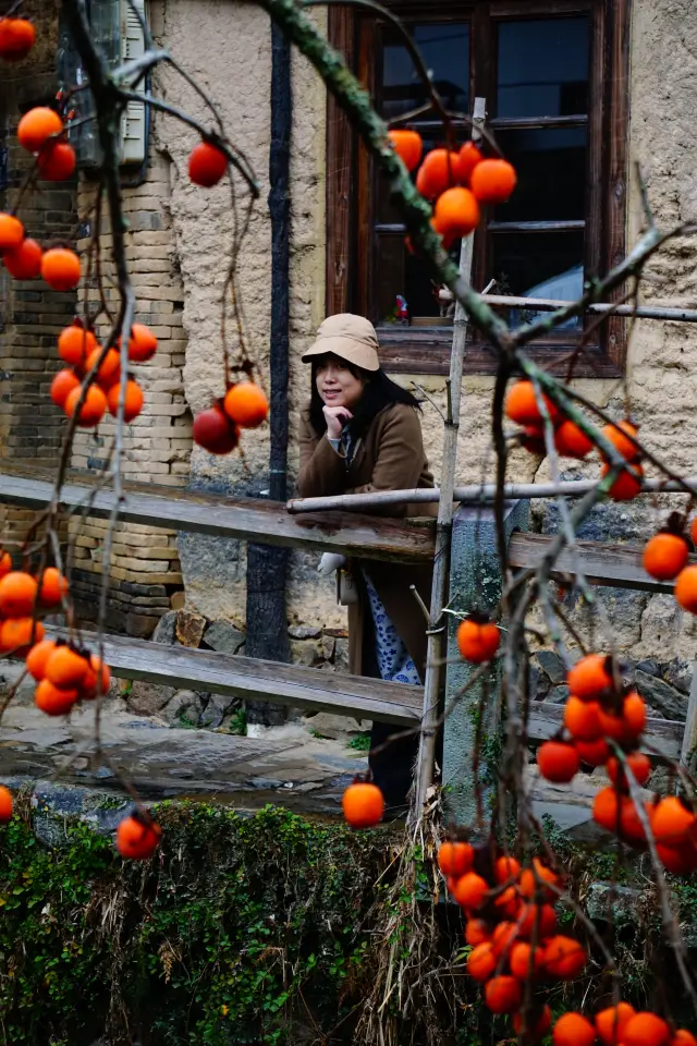 Persimmon season in the south, let's go to Pingnan to enjoy the autumn