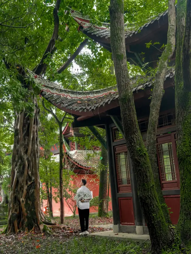 反向旅遊真的太棒了這個山水之城寧靜治癒