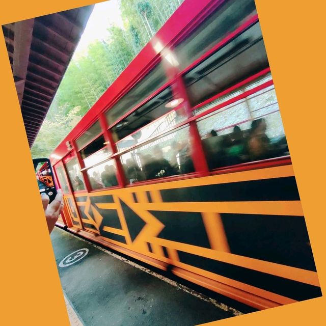 京都嵐山小火車，秋色美不勝收