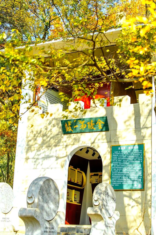 南京老山國家森林公園 | 森林氧吧，徒步踏青好去處