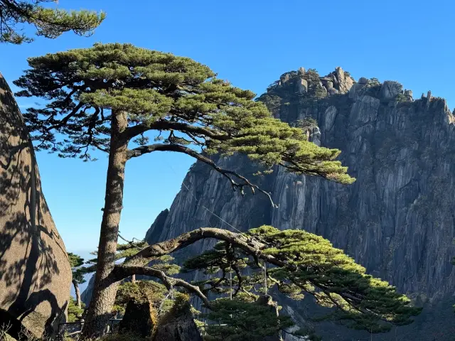 Four-day travel guide to Huangshan, Anhui