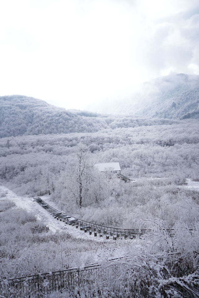 成都看雪｜2h就可到達的冰雪世界