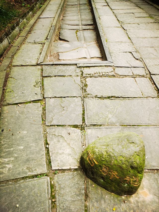 金牛古道西風烈