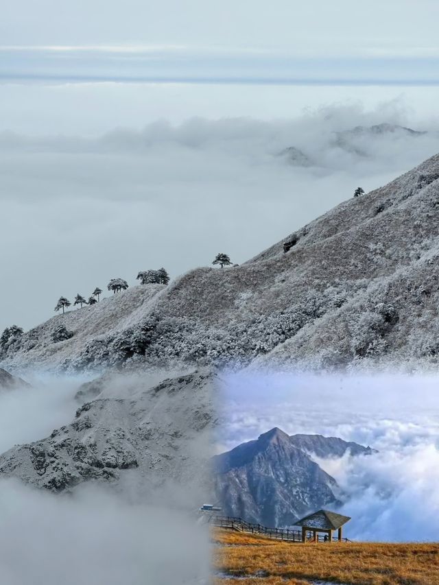 冬日武功山，美景如畫，等你來探索！