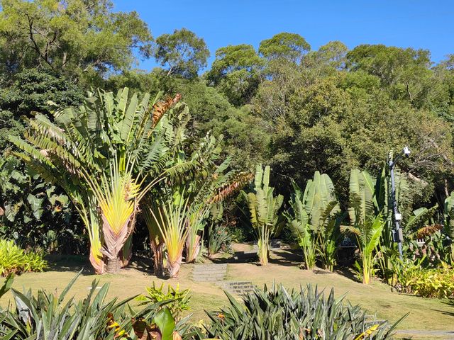 廈門園林植物園