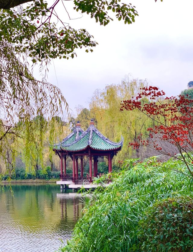 棠湖公園——一處讓人流連忘返的旅遊勝地