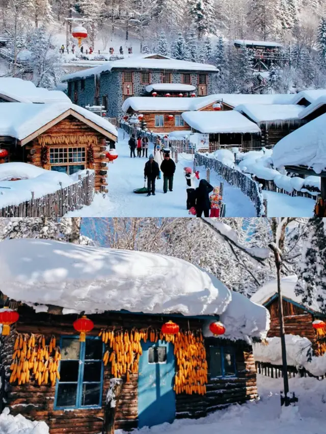 冬のスキーフェスティバルには、アブリへ行きましょう~